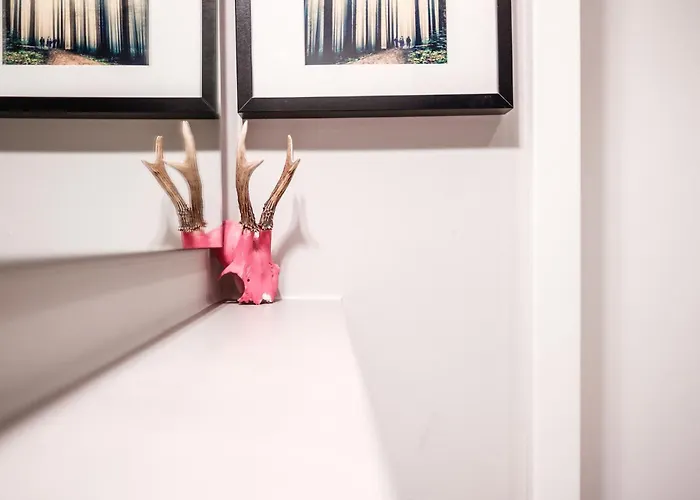 Apartman Franz *