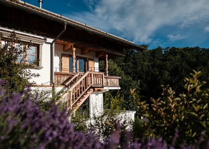 Franz Apartman *